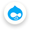 Hire Drupal Developer