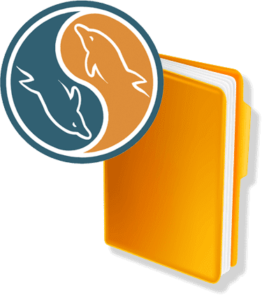 mysql database