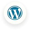 Hire WordPress Developer